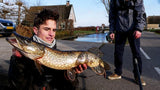 Pêche du brochet en Hollande (polders)