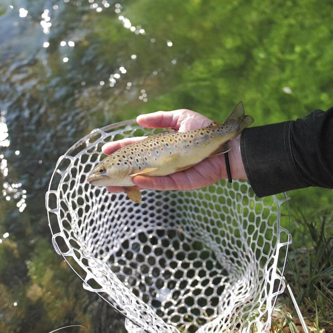 Generic Epuisette Truite, Épuisette de pêche télescopique 173 cm avec poignée pour pêche à la Carpe, à la Carpe, à la Truite